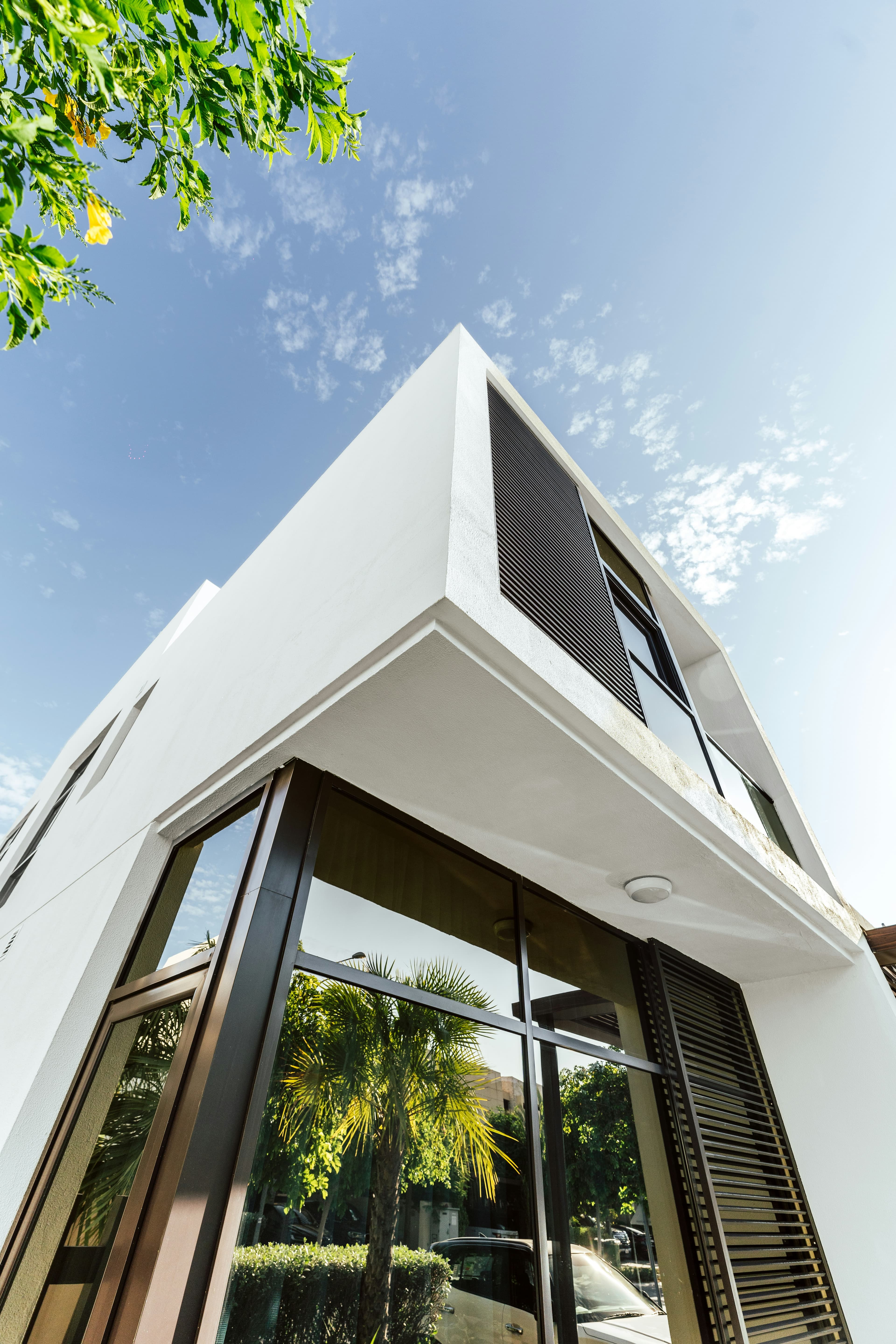 Modern white building with large glass windows reflecting palm trees against a clear blue sky.